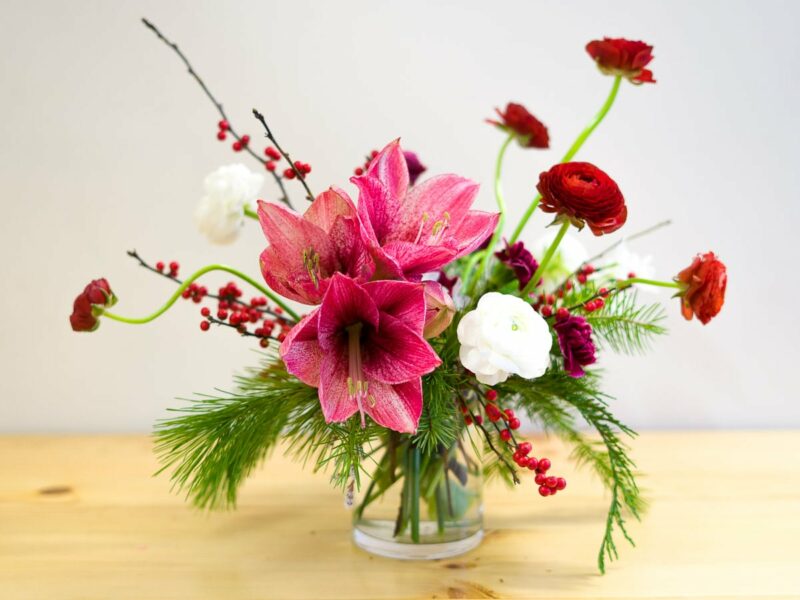 Holly Jolly flower arrangement featuring amaryllis, ranunculus, and ilex berry